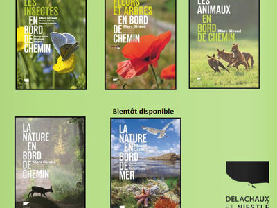 Baladez-vous en pleine nature !