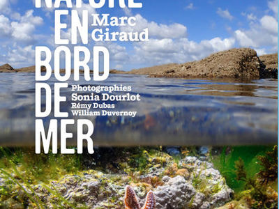 La nature en bord de mer