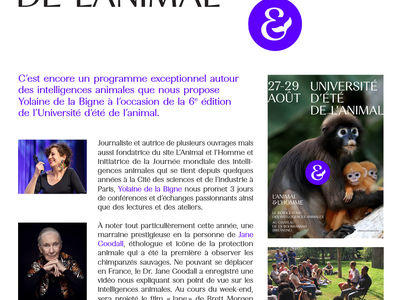 université d'été