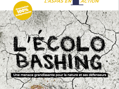 ecolobashing
